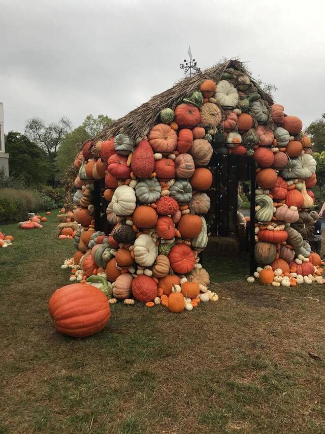 Bildschirmarbeiter - Picdump 11.10.2019