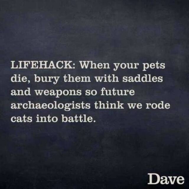 Bildschirmarbeiter - Picdump 11.10.2019