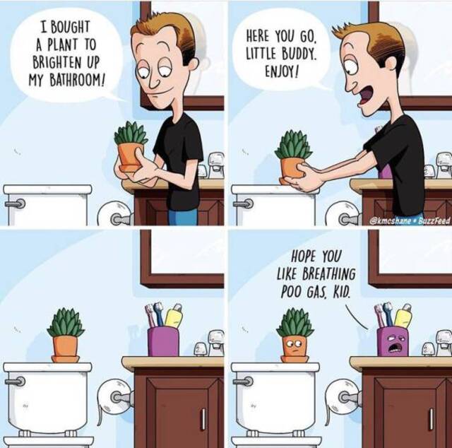 Bildschirmarbeiter - Picdump 11.10.2019