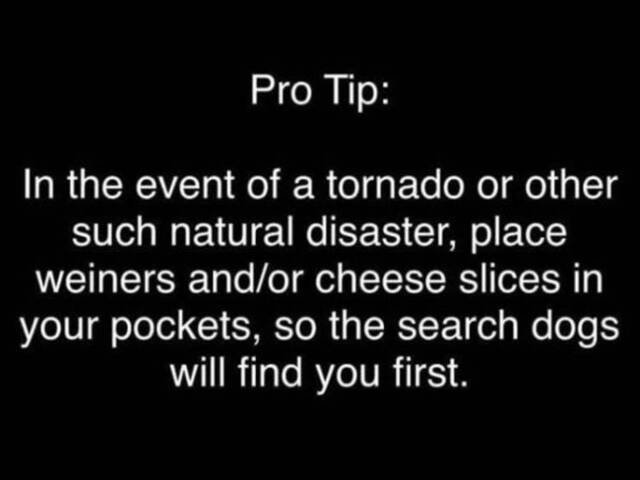 Bildschirmarbeiter - Picdump 11.10.2019