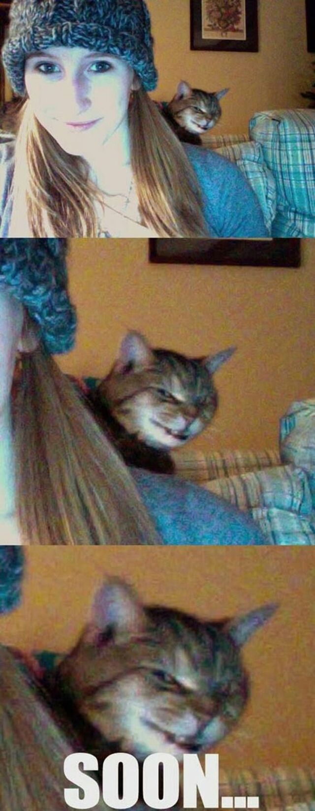 Bildschirmarbeiter - Picdump 11.10.2019