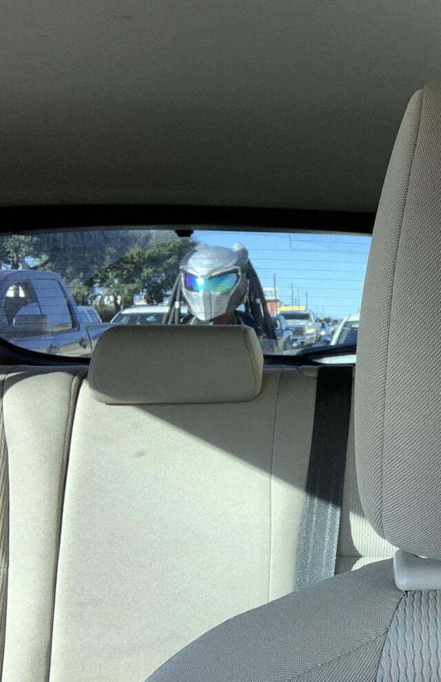 Bildschirmarbeiter - Picdump 11.10.2019