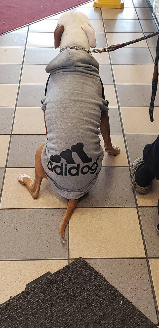 Bildschirmarbeiter - Picdump 11.10.2019