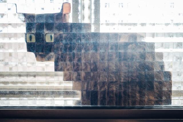 Bildschirmarbeiter - Picdump 11.10.2019