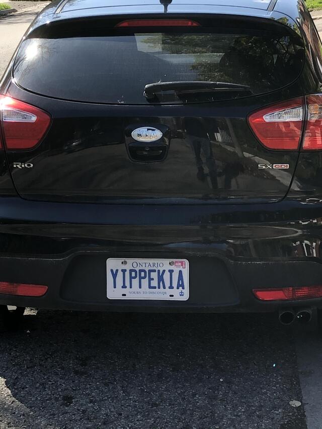 Bildschirmarbeiter - Picdump 11.10.2019