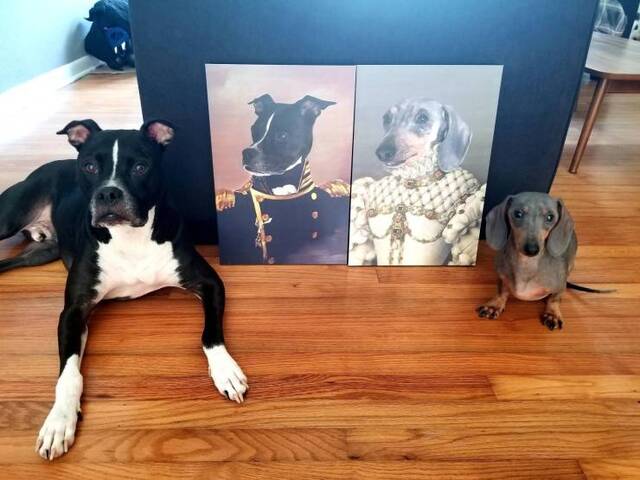 Bildschirmarbeiter - Picdump 18.10.2019