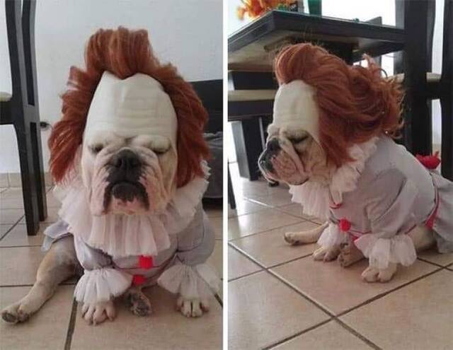 Bildschirmarbeiter - Picdump 18.10.2019