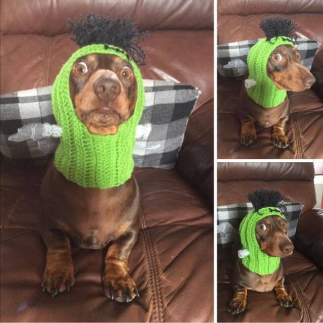 Bildschirmarbeiter - Picdump 18.10.2019