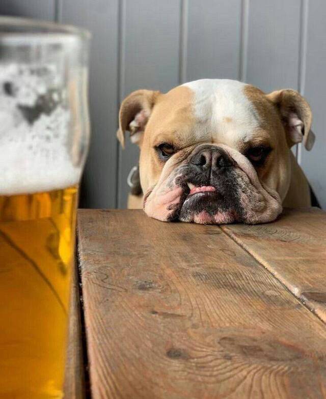 Bildschirmarbeiter - Picdump 18.10.2019