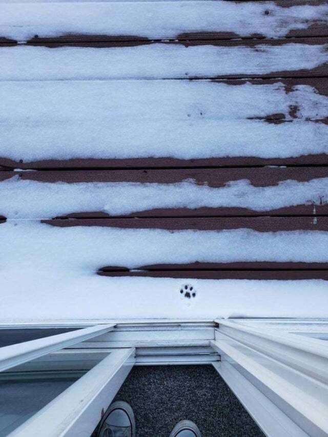 Bildschirmarbeiter - Picdump 18.10.2019