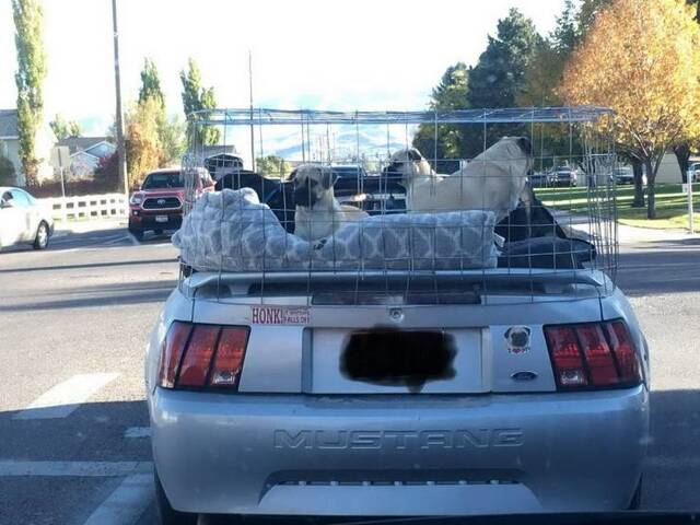 Bildschirmarbeiter - Picdump 18.10.2019