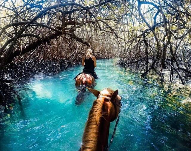 Bildschirmarbeiter - Picdump 18.10.2019