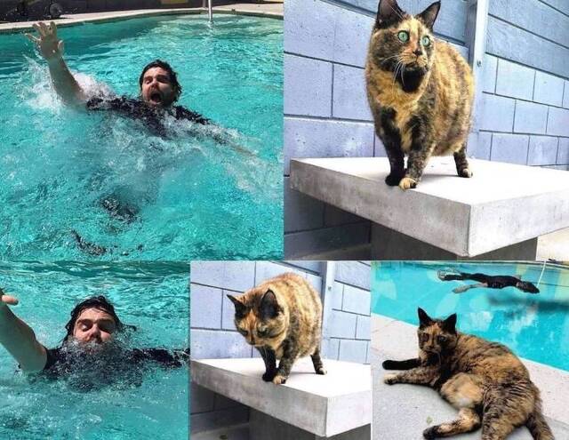 Bildschirmarbeiter - Picdump 18.10.2019