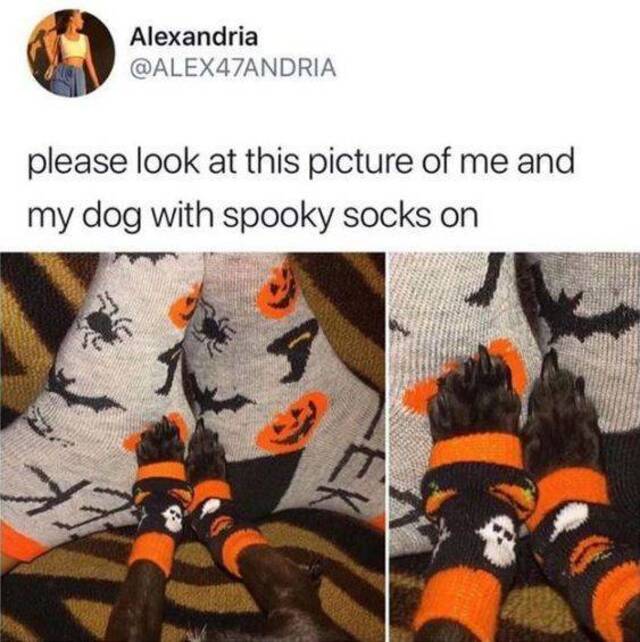 Bildschirmarbeiter - Picdump 18.10.2019