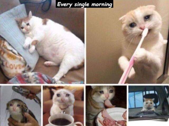 Bildschirmarbeiter - Picdump 18.10.2019