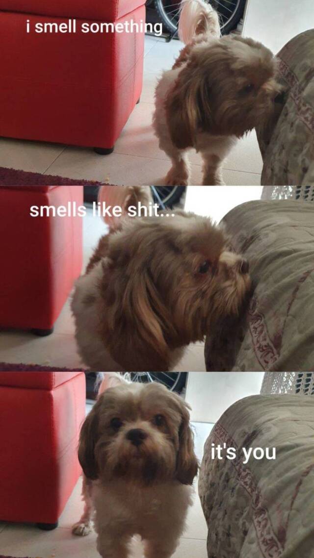 Bildschirmarbeiter - Picdump 18.10.2019