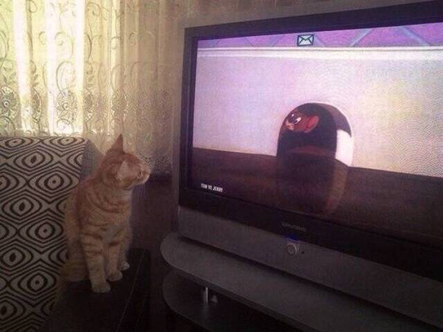 Bildschirmarbeiter - Picdump 01.11.2019