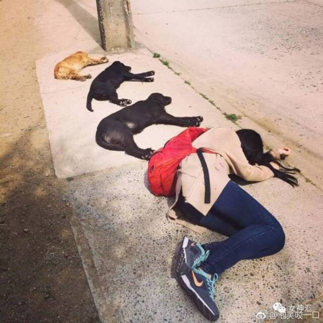 Bildschirmarbeiter - Picdump 01.11.2019