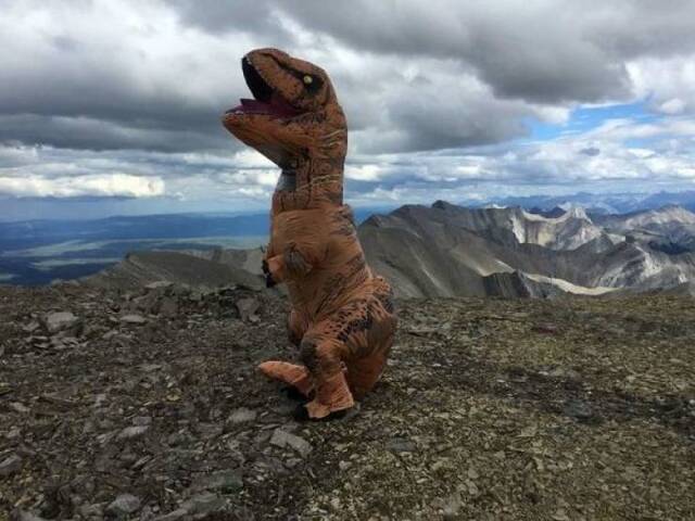 Bildschirmarbeiter - Picdump 01.11.2019