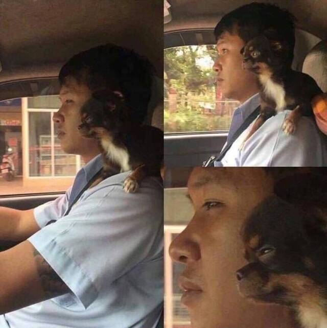 Bildschirmarbeiter - Picdump 01.11.2019