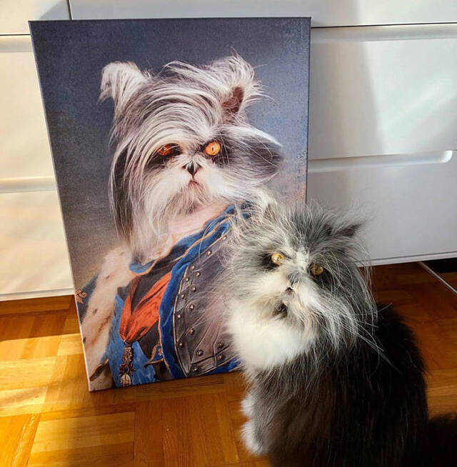 Bildschirmarbeiter - Picdump 01.11.2019