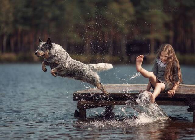 Bildschirmarbeiter - Picdump 01.11.2019