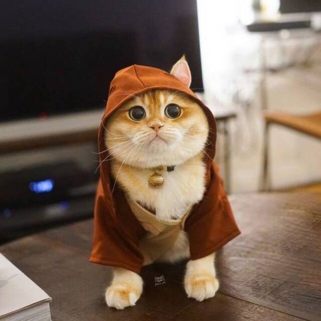 Bildschirmarbeiter - Picdump 01.11.2019