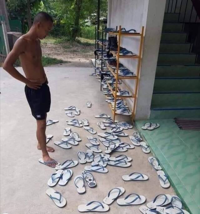 Bildschirmarbeiter - Picdump 01.11.2019