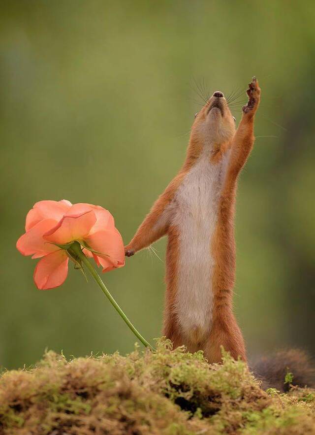 Bildschirmarbeiter - Picdump 01.11.2019