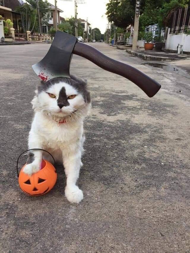 Bildschirmarbeiter - Picdump 01.11.2019