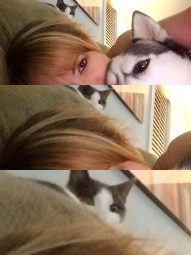 Bildschirmarbeiter - Picdump 01.11.2019