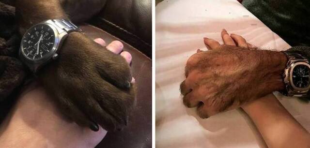 Bildschirmarbeiter - Picdump 01.11.2019