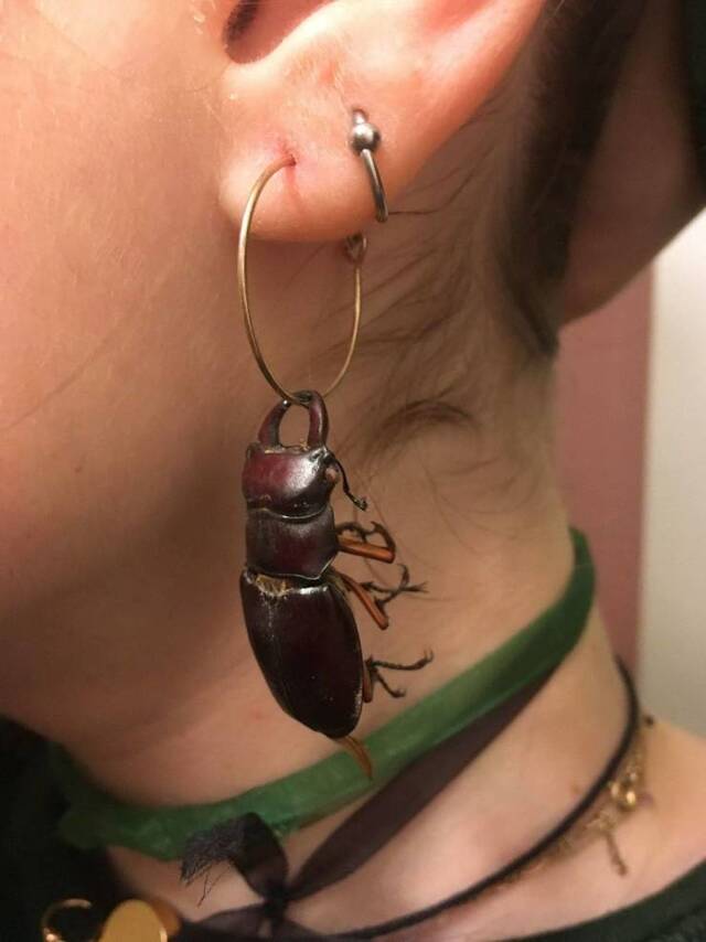 Bildschirmarbeiter - Picdump 01.11.2019