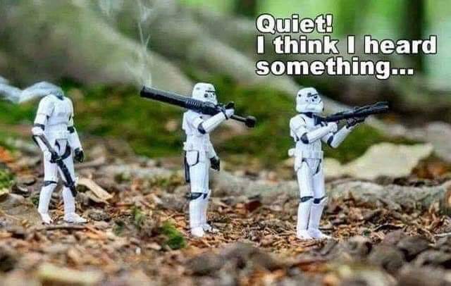 Bildschirmarbeiter - Picdump 08.11.2019