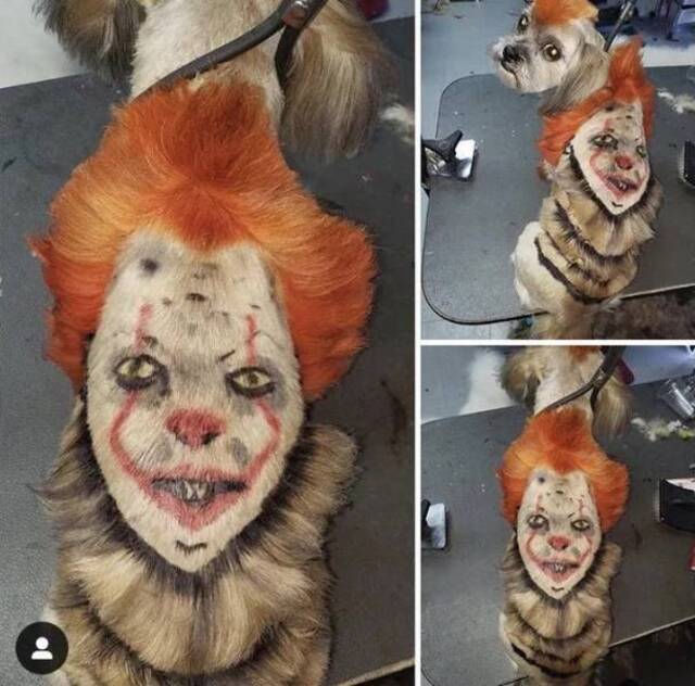 Bildschirmarbeiter - Picdump 08.11.2019