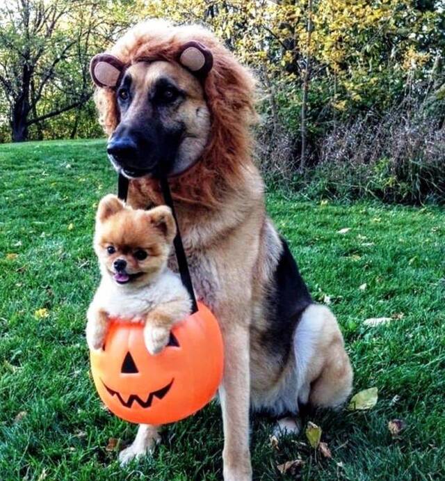 Bildschirmarbeiter - Picdump 08.11.2019