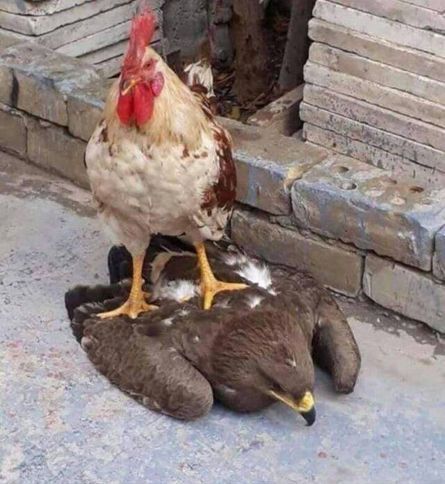 Bildschirmarbeiter - Picdump 08.11.2019