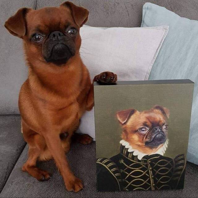 Bildschirmarbeiter - Picdump 08.11.2019