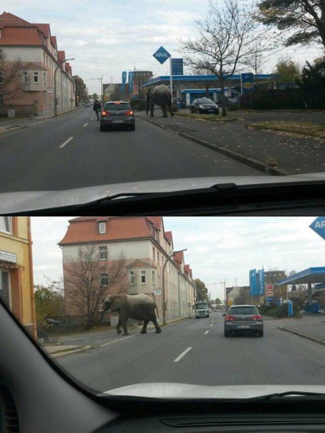 Bildschirmarbeiter - Picdump 08.11.2019