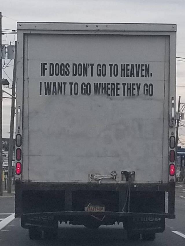 Bildschirmarbeiter - Picdump 08.11.2019