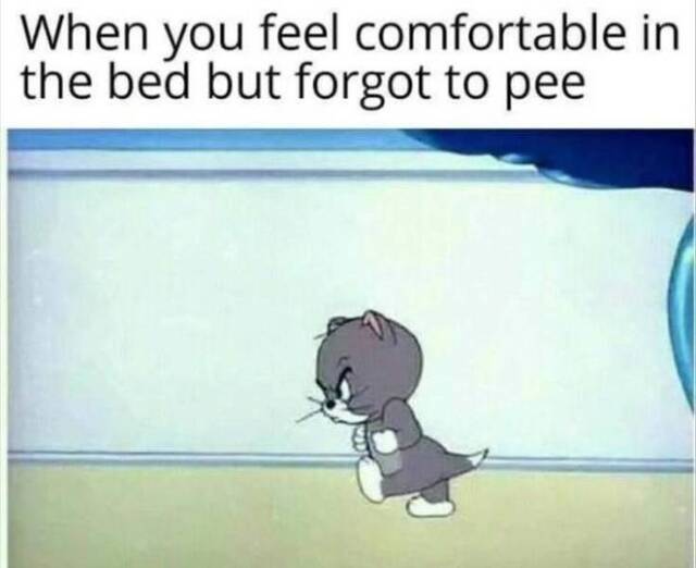 Bildschirmarbeiter - Picdump 08.11.2019