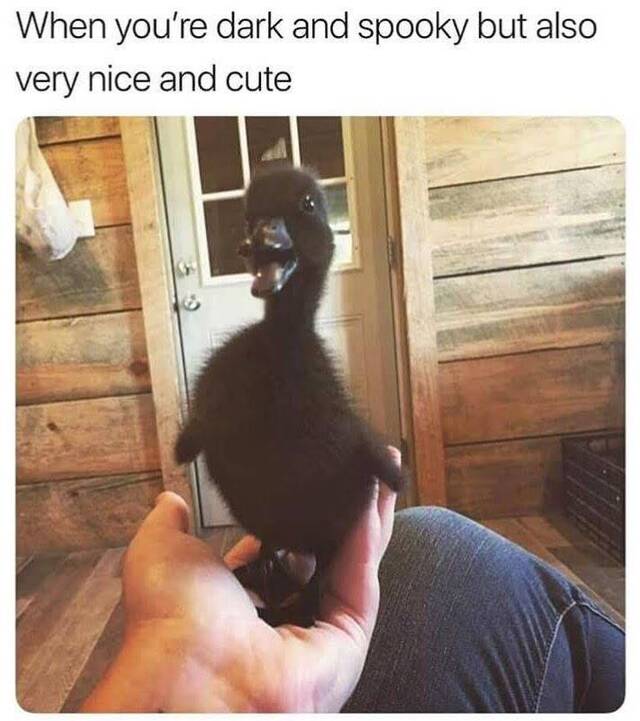 Bildschirmarbeiter - Picdump 08.11.2019