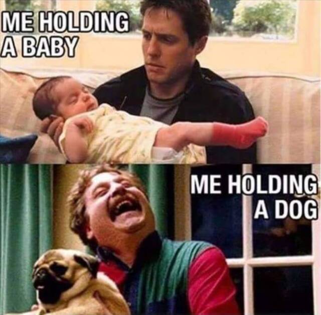 Bildschirmarbeiter - Picdump 08.11.2019