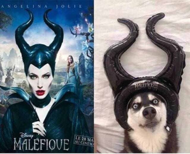 Bildschirmarbeiter - Picdump 08.11.2019