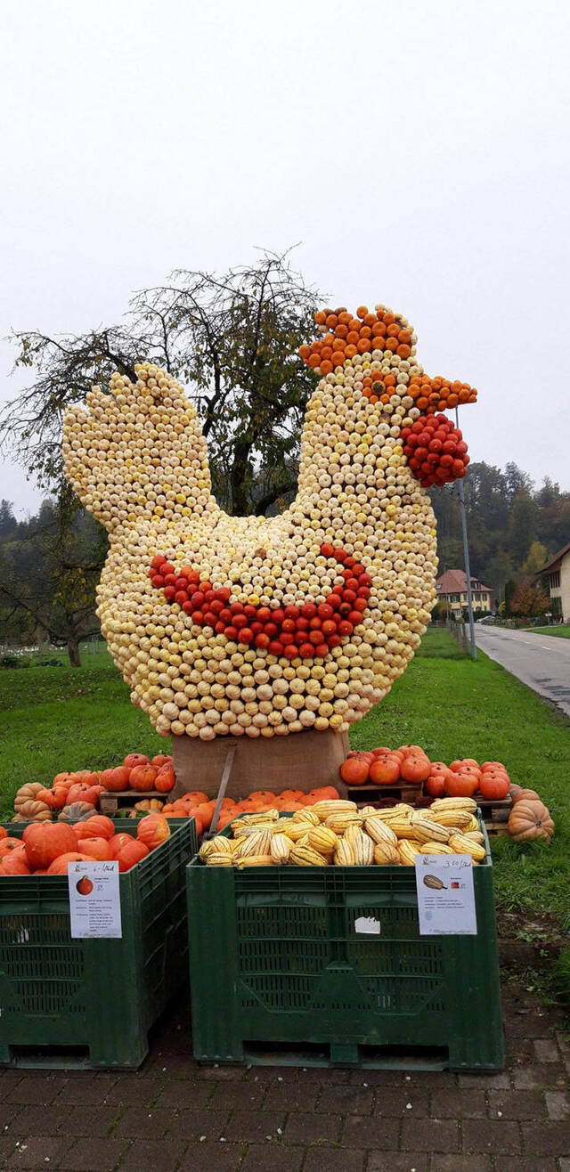 Bildschirmarbeiter - Picdump 08.11.2019