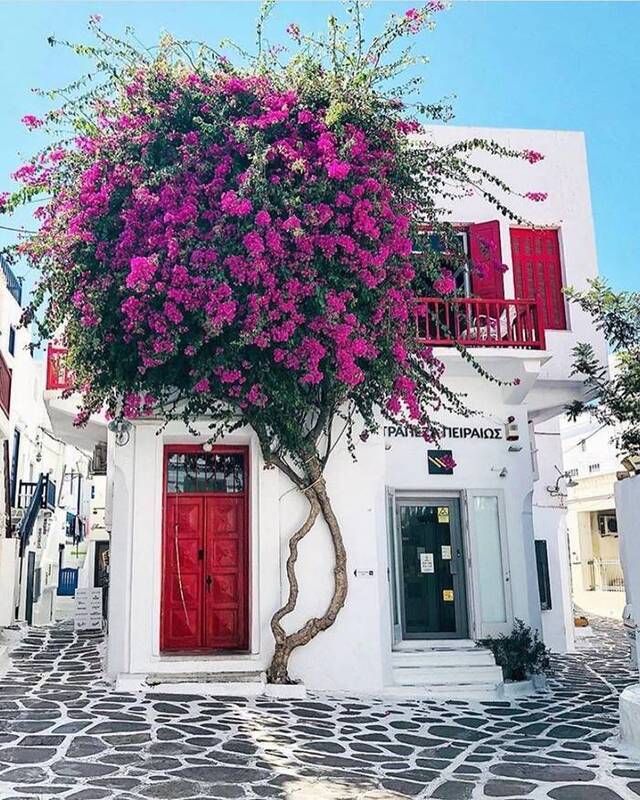 Bildschirmarbeiter - Picdump 08.11.2019