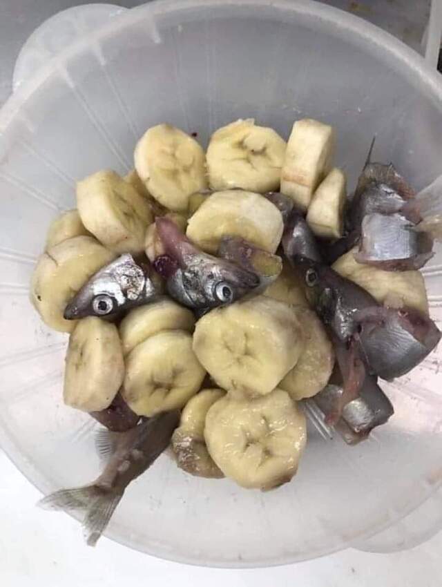 Bildschirmarbeiter - Picdump 15.11.2019 - Nachschlag