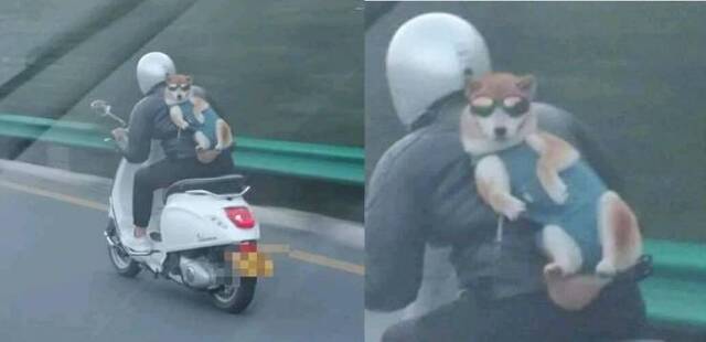 Bildschirmarbeiter - Picdump 15.11.2019 - Nachschlag