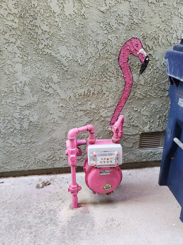 Bildschirmarbeiter - Picdump 15.11.2019 - Nachschlag