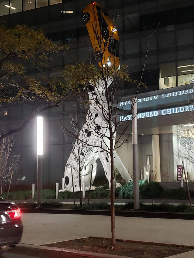 Bildschirmarbeiter - Picdump 15.11.2019 - Nachschlag